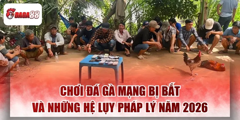 Chơi Đá Gà Mạng Bị Bắt Và Những Hệ Lụy Pháp Lý Năm 2026