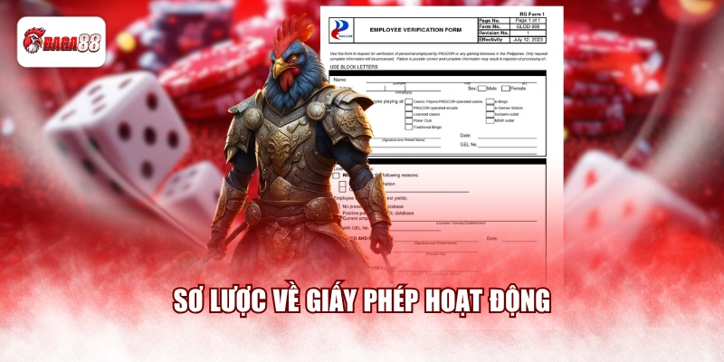 Sơ lược về giấy phép hoạt động