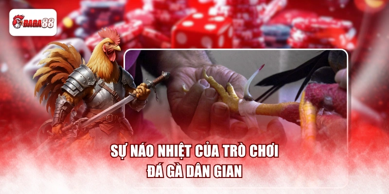 Sự náo nhiệt của trò chơi đá gà dân gian
