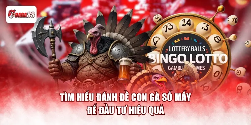 Tìm hiểu đánh đề con gà số mấy để đầu tư hiệu quả